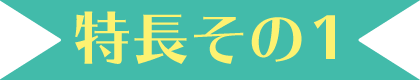 特長その1
