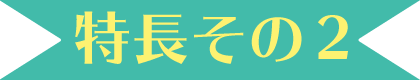 特長その2