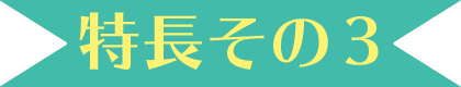 特長その3