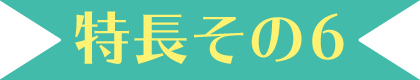 特長その6