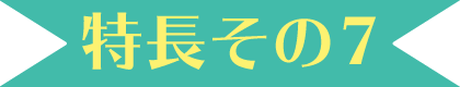 特長その7